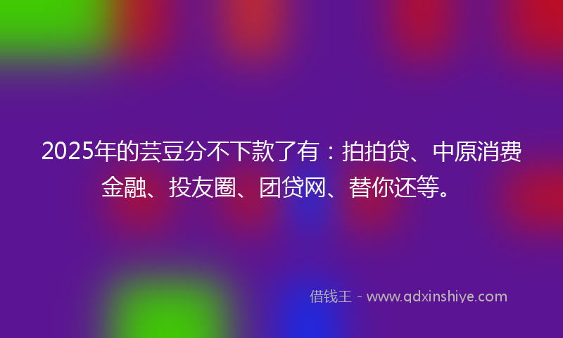 2025年的芸豆分不下款了有：拍拍贷、中原消费金融、投友圈、团贷网、替你还等。