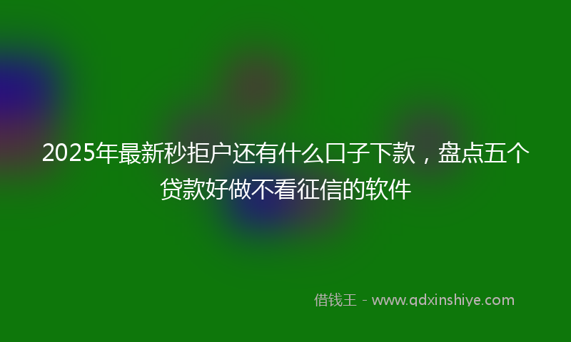 2025年最新秒拒户还有什么口子下款，盘点五个贷款好做不看征信的软件