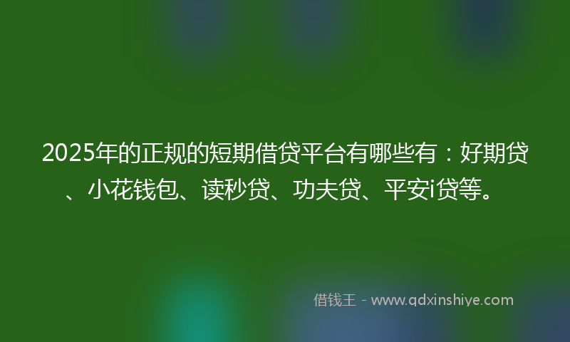 2025年的正规的短期借贷平台有哪些有：好期贷、小花钱包、读秒贷、功夫贷、平安i贷等。