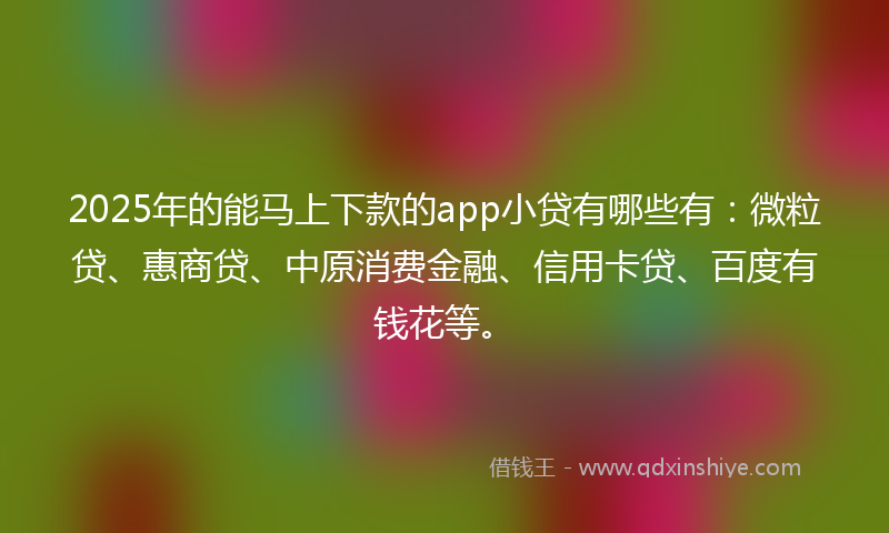 2025年的能马上下款的app小贷有哪些有：微粒贷、惠商贷、中原消费金融、信用卡贷、百度有钱花等。