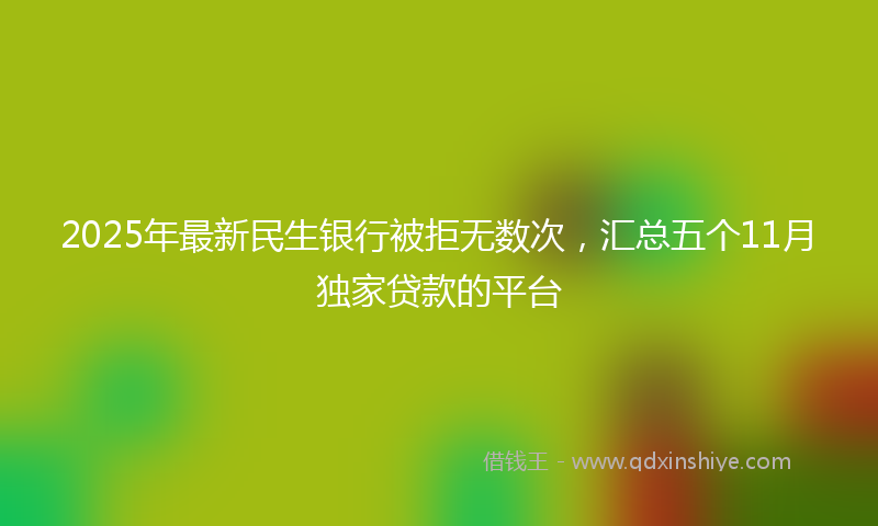2025年最新民生银行被拒无数次，汇总五个11月独家贷款的平台