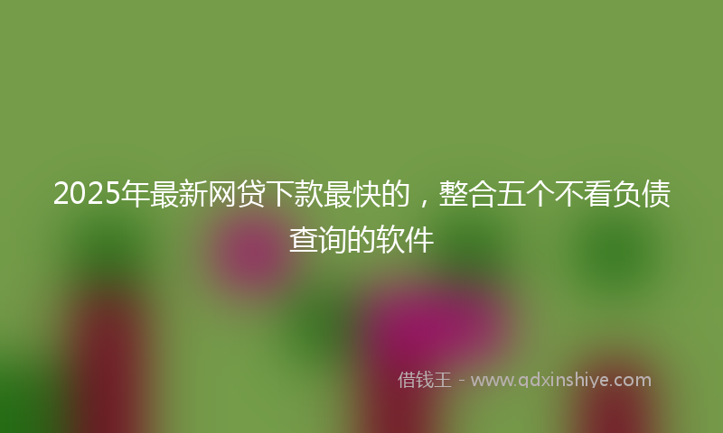 2025年最新网贷下款最快的，整合五个不看负债查询的软件