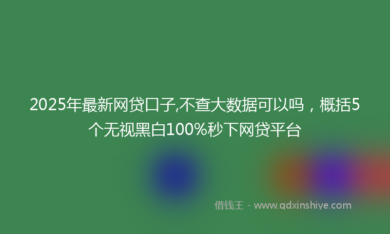 2025年最新网贷口子,不查大数据可以吗，概括5个无视黑白100%秒下网贷平台