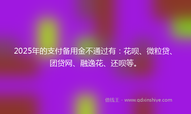 2025年的支付备用金不通过有：花呗、微粒贷、团贷网、融逸花、还呗等。