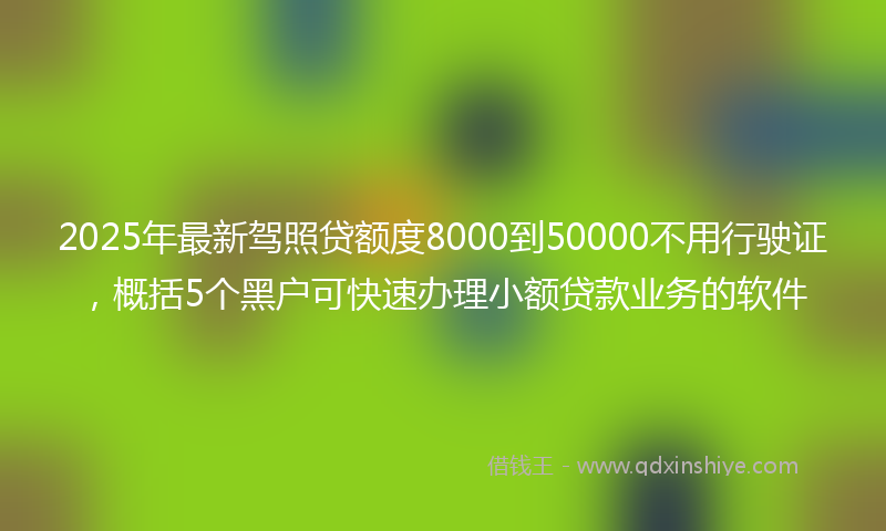 2025年最新驾照贷额度8000到50000不用行驶证，概括5个黑户可快速办理小额贷款业务的软件