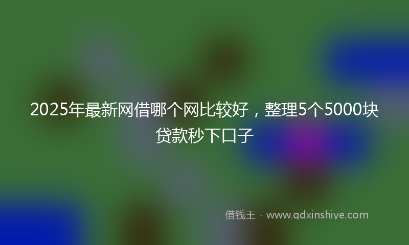 2025年最新网借哪个网比较好，整理5个5000块贷款秒下口子