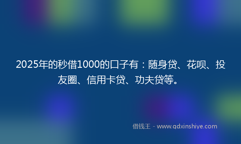 2025年的秒借1000的口子有：随身贷、花呗、投友圈、信用卡贷、功夫贷等。