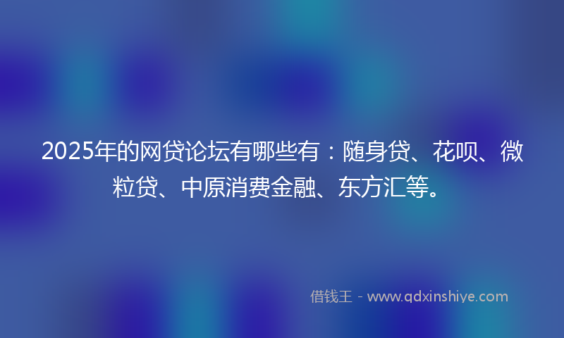 2025年的网贷论坛有哪些有：随身贷、花呗、微粒贷、中原消费金融、东方汇等。