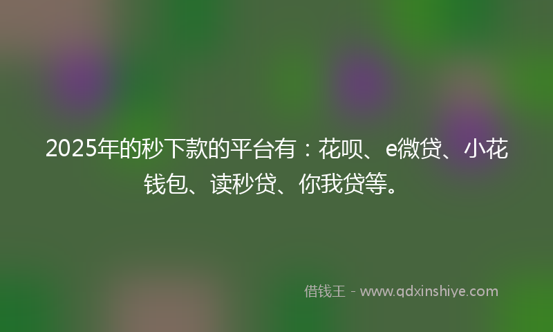2025年的秒下款的平台有：花呗、e微贷、小花钱包、读秒贷、你我贷等。