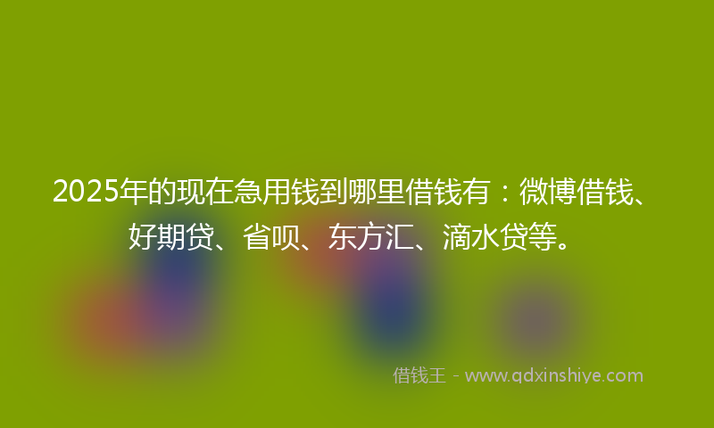 2025年的现在急用钱到哪里借钱有：微博借钱、好期贷、省呗、东方汇、滴水贷等。