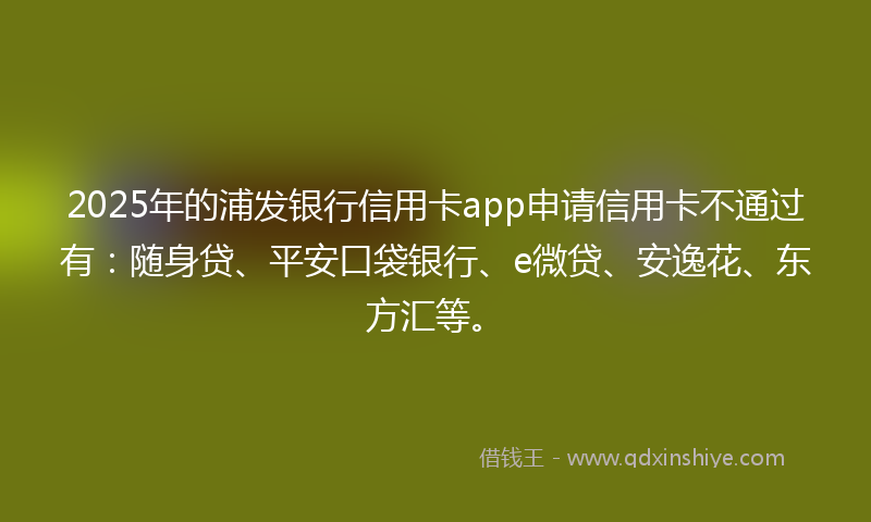2025年的浦发银行信用卡app申请信用卡不通过有：随身贷、平安口袋银行、e微贷、安逸花、东方汇等。