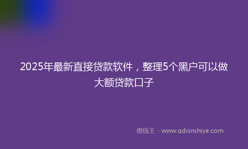 2025年最新直接贷款软件，整理5个黑户可以做大额贷款口子
