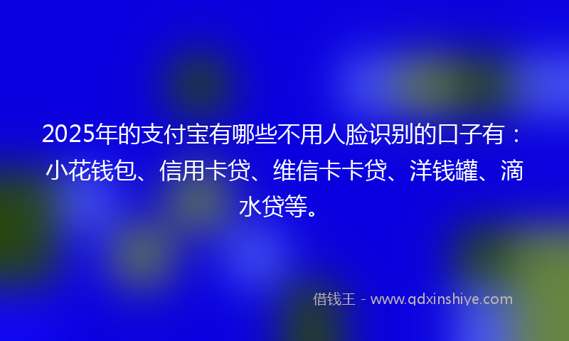 2025年的支付宝有哪些不用人脸识别的口子有：小花钱包、信用卡贷、维信卡卡贷、洋钱罐、滴水贷等。