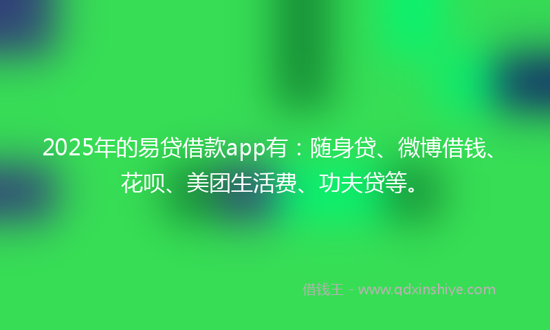 2025年的易贷借款app有：随身贷、微博借钱、花呗、美团生活费、功夫贷等。
