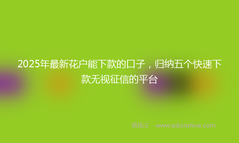 2025年最新花户能下款的口子，归纳五个快速下款无视征信的平台