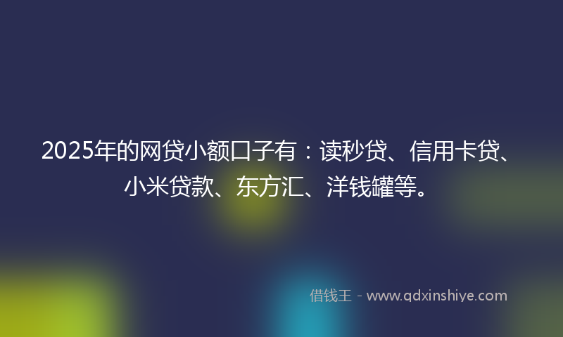 2025年的网贷小额口子有：读秒贷、信用卡贷、小米贷款、东方汇、洋钱罐等。