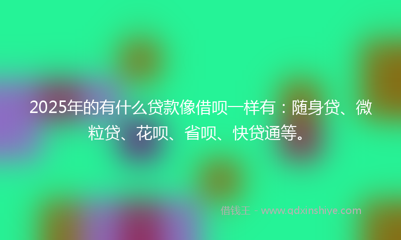 2025年的有什么贷款像借呗一样有：随身贷、微粒贷、花呗、省呗、快贷通等。