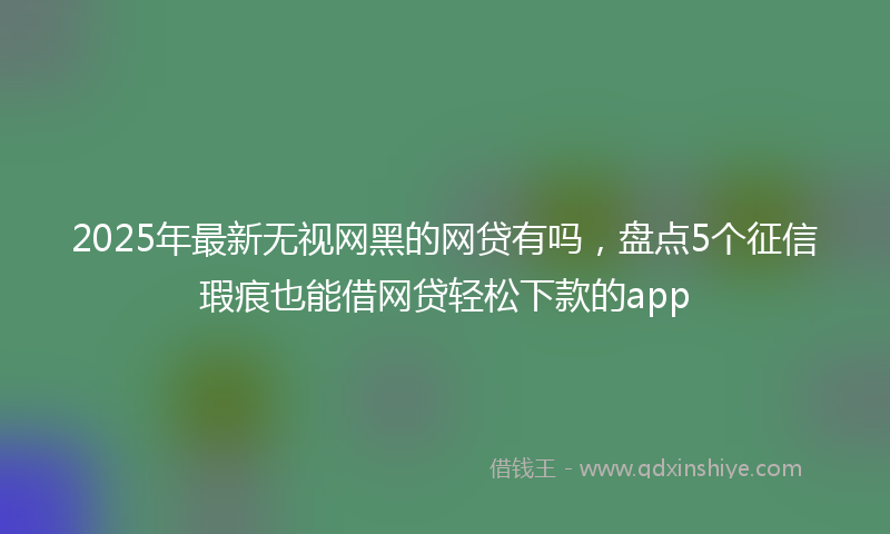 2025年最新无视网黑的网贷有吗，盘点5个征信瑕疵也能借网贷轻松下款的app