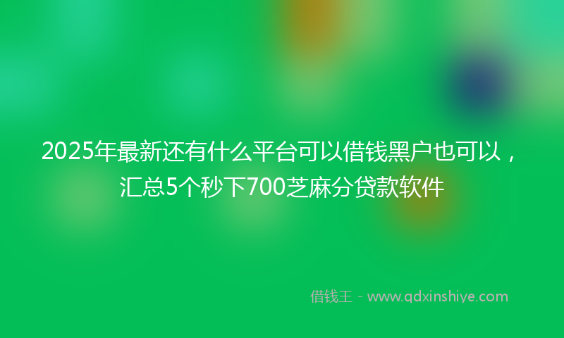 2025年最新还有什么平台可以借钱黑户也可以，汇总5个秒下700芝麻分贷款软件