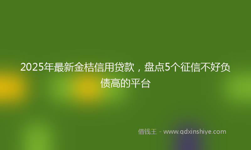 2025年最新金桔信用贷款，盘点5个征信不好负债高的平台