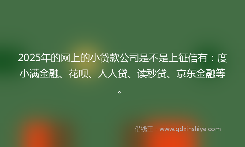 2025年的网上的小贷款公司是不是上征信有：度小满金融、花呗、人人贷、读秒贷、京东金融等。