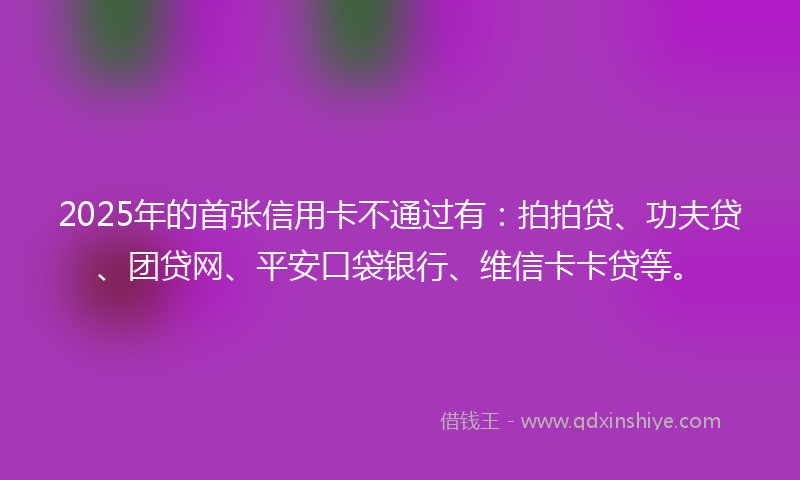 2025年的首张信用卡不通过有：拍拍贷、功夫贷、团贷网、平安口袋银行、维信卡卡贷等。