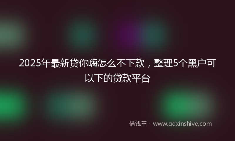 2025年最新贷你嗨怎么不下款，整理5个黑户可以下的贷款平台