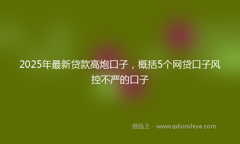 2025年最新贷款高炮口子，概括5个网贷口子风控不严的口子
