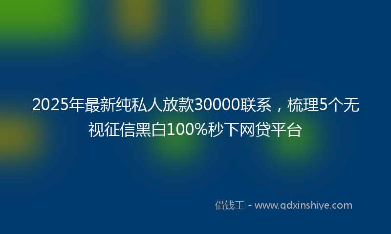 2025年最新纯私人放款30000联系，梳理5个无视征信黑白100%秒下网贷平台