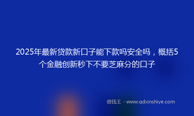2025年最新贷款新口子能下款吗安全吗，概括5个金融创新秒下不要芝麻分的口子
