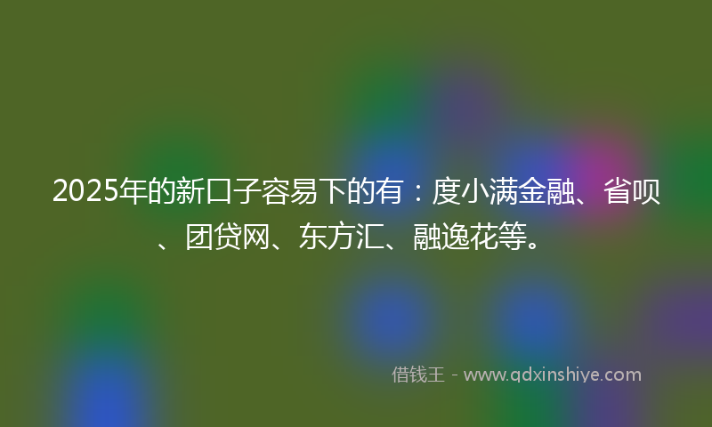 2025年的新口子容易下的有：度小满金融、省呗、团贷网、东方汇、融逸花等。