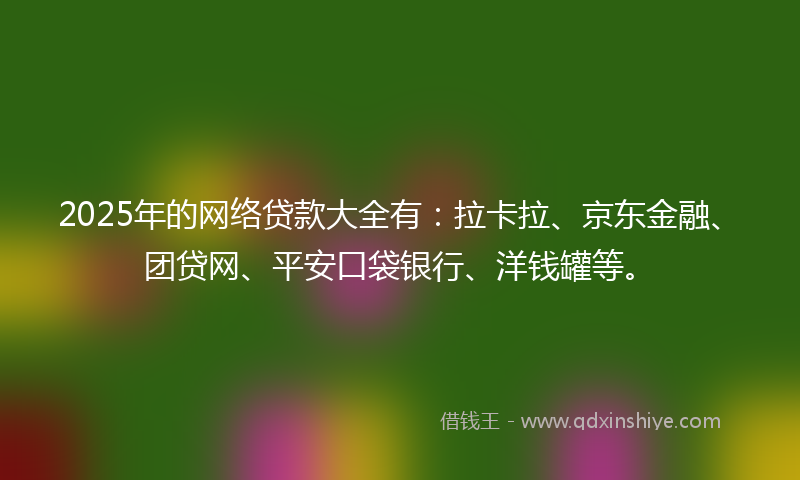 2025年的网络贷款大全有：拉卡拉、京东金融、团贷网、平安口袋银行、洋钱罐等。