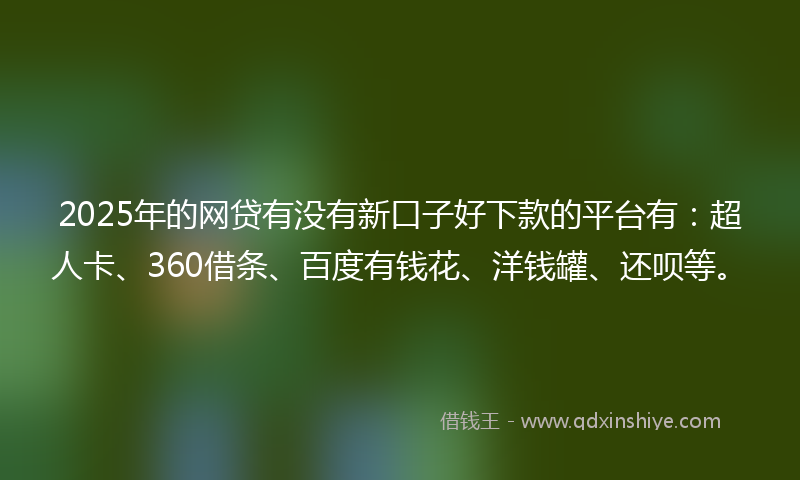 2025年的网贷有没有新口子好下款的平台有：超人卡、360借条、百度有钱花、洋钱罐、还呗等。