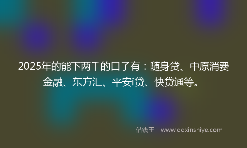 2025年的能下两千的口子有：随身贷、中原消费金融、东方汇、平安i贷、快贷通等。
