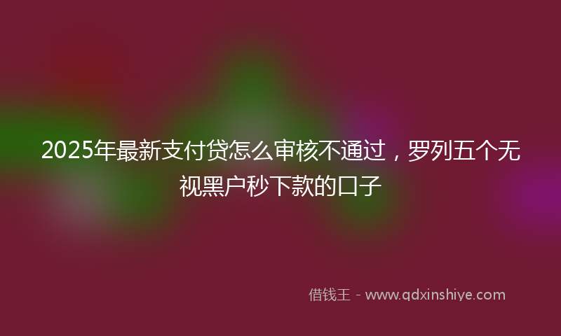 2025年最新支付贷怎么审核不通过，罗列五个无视黑户秒下款的口子