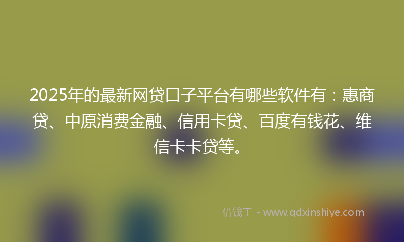 2025年的最新网贷口子平台有哪些软件有：惠商贷、中原消费金融、信用卡贷、百度有钱花、维信卡卡贷等。