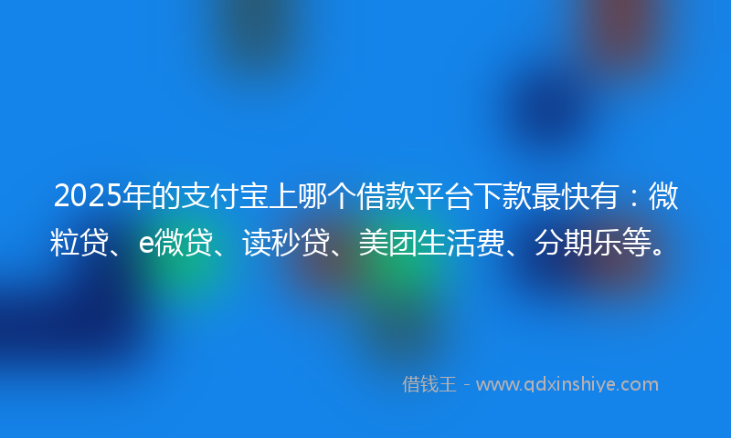 2025年的支付宝上哪个借款平台下款最快有：微粒贷、e微贷、读秒贷、美团生活费、分期乐等。