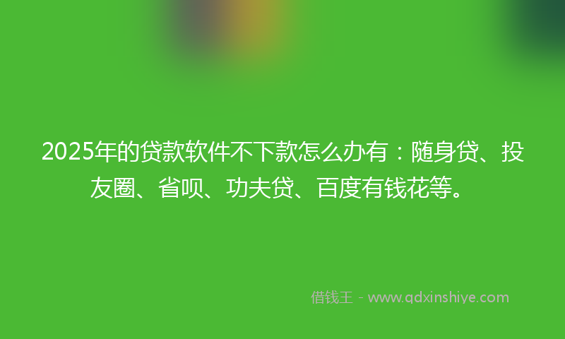 2025年的贷款软件不下款怎么办有：随身贷、投友圈、省呗、功夫贷、百度有钱花等。