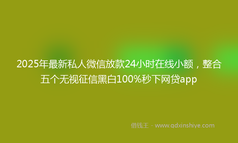 2025年最新私人微信放款24小时在线小额，整合五个无视征信黑白100%秒下网贷app