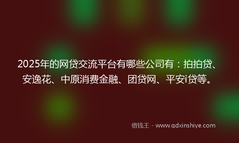 2025年的网贷交流平台有哪些公司有：拍拍贷、安逸花、中原消费金融、团贷网、平安i贷等。