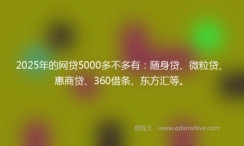 2025年的网贷5000多不多有：随身贷、微粒贷、惠商贷、360借条、东方汇等。