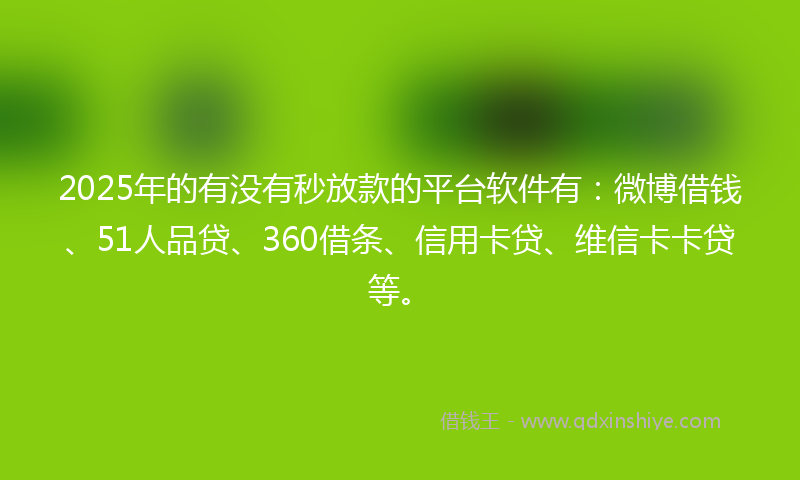 2025年的有没有秒放款的平台软件有：微博借钱、51人品贷、360借条、信用卡贷、维信卡卡贷等。
