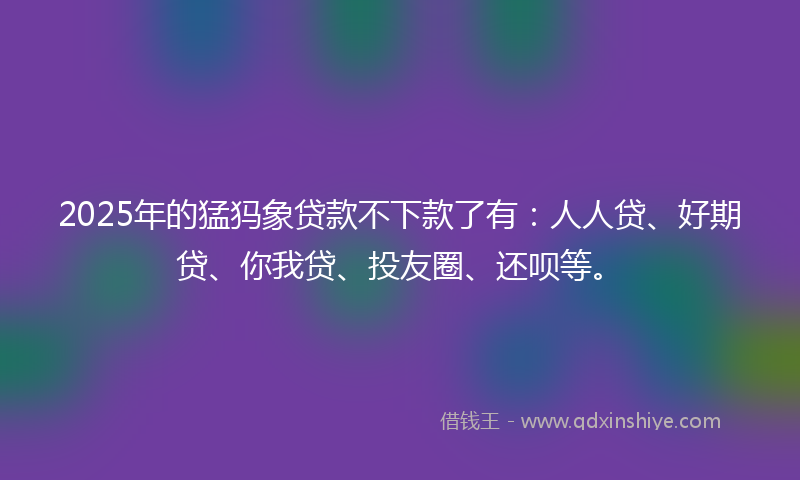 2025年的猛犸象贷款不下款了有：人人贷、好期贷、你我贷、投友圈、还呗等。