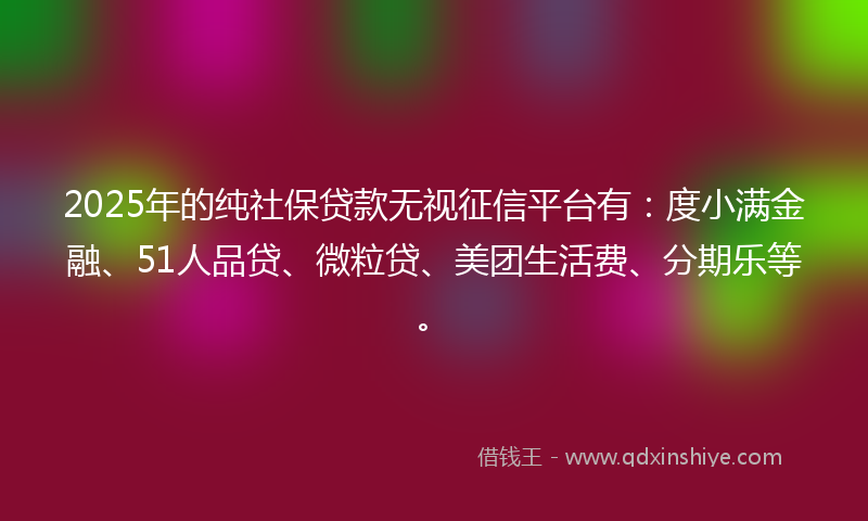 2025年的纯社保贷款无视征信平台有：度小满金融、51人品贷、微粒贷、美团生活费、分期乐等。