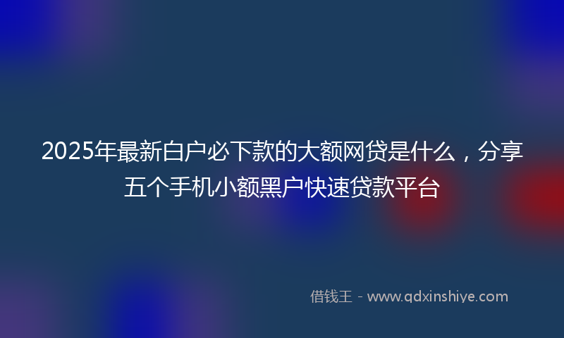 2025年最新白户必下款的大额网贷是什么，分享五个手机小额黑户快速贷款平台