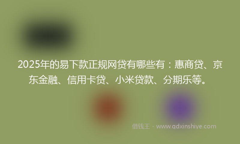 2025年的易下款正规网贷有哪些有：惠商贷、京东金融、信用卡贷、小米贷款、分期乐等。