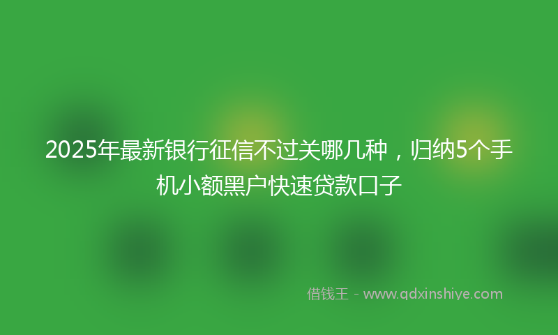 2025年最新银行征信不过关哪几种，归纳5个手机小额黑户快速贷款口子