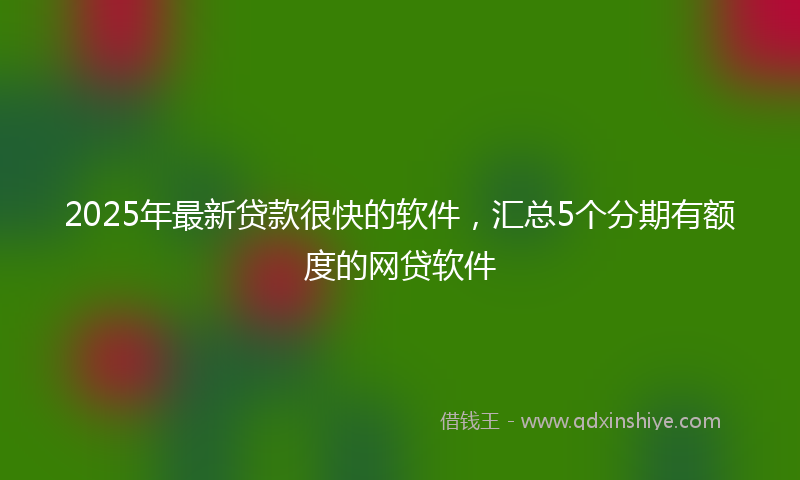 2025年最新贷款很快的软件，汇总5个分期有额度的网贷软件