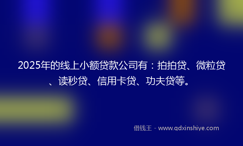 2025年的线上小额贷款公司有：拍拍贷、微粒贷、读秒贷、信用卡贷、功夫贷等。