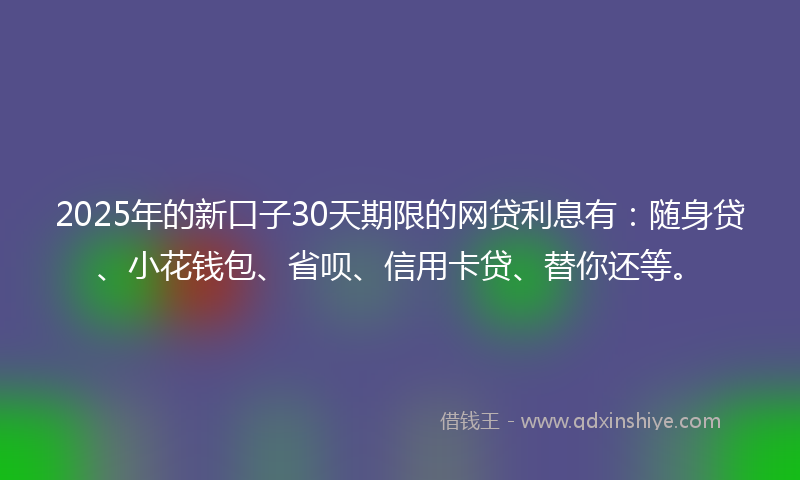 2025年的新口子30天期限的网贷利息有：随身贷、小花钱包、省呗、信用卡贷、替你还等。